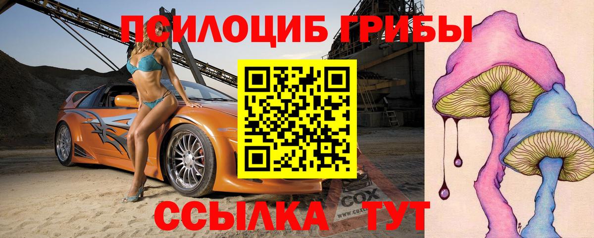 Галлюциногенные грибы Magic Shrooms  купить наркоту  Кулебаки  Вход с VPN 